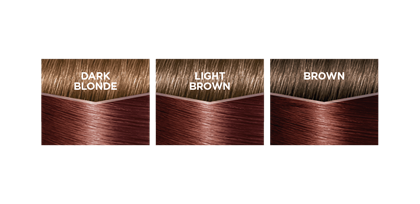 haircolor 550 casting creme gloss product detail swatch