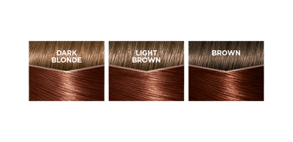 haircolor 554 casting creme gloss product detail swatch